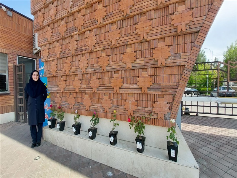 پروژه گلدان‌های سیمانی: ترکیبی از هنر و معماری در فضای دانشگاه