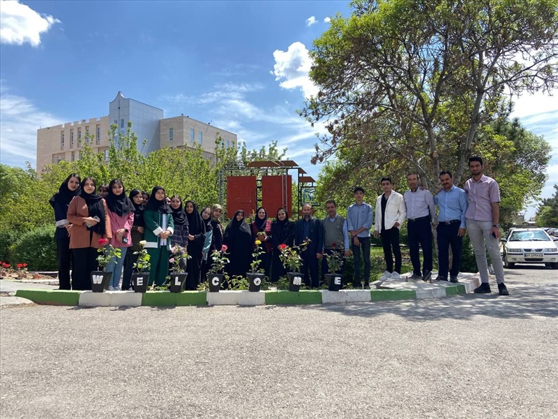 پروژه گلدان‌های سیمانی: ترکیبی از هنر و معماری در فضای دانشگاه