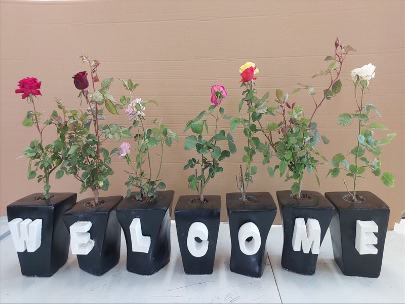 پروژه گلدان‌های سیمانی: ترکیبی از هنر و معماری در فضای دانشگاه